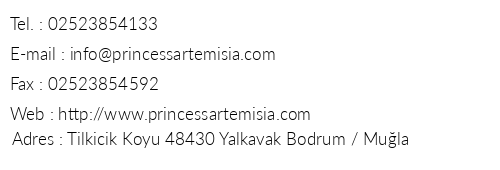 Princess Artemisia Hotel telefon numaralar, faks, e-mail, posta adresi ve iletiim bilgileri
